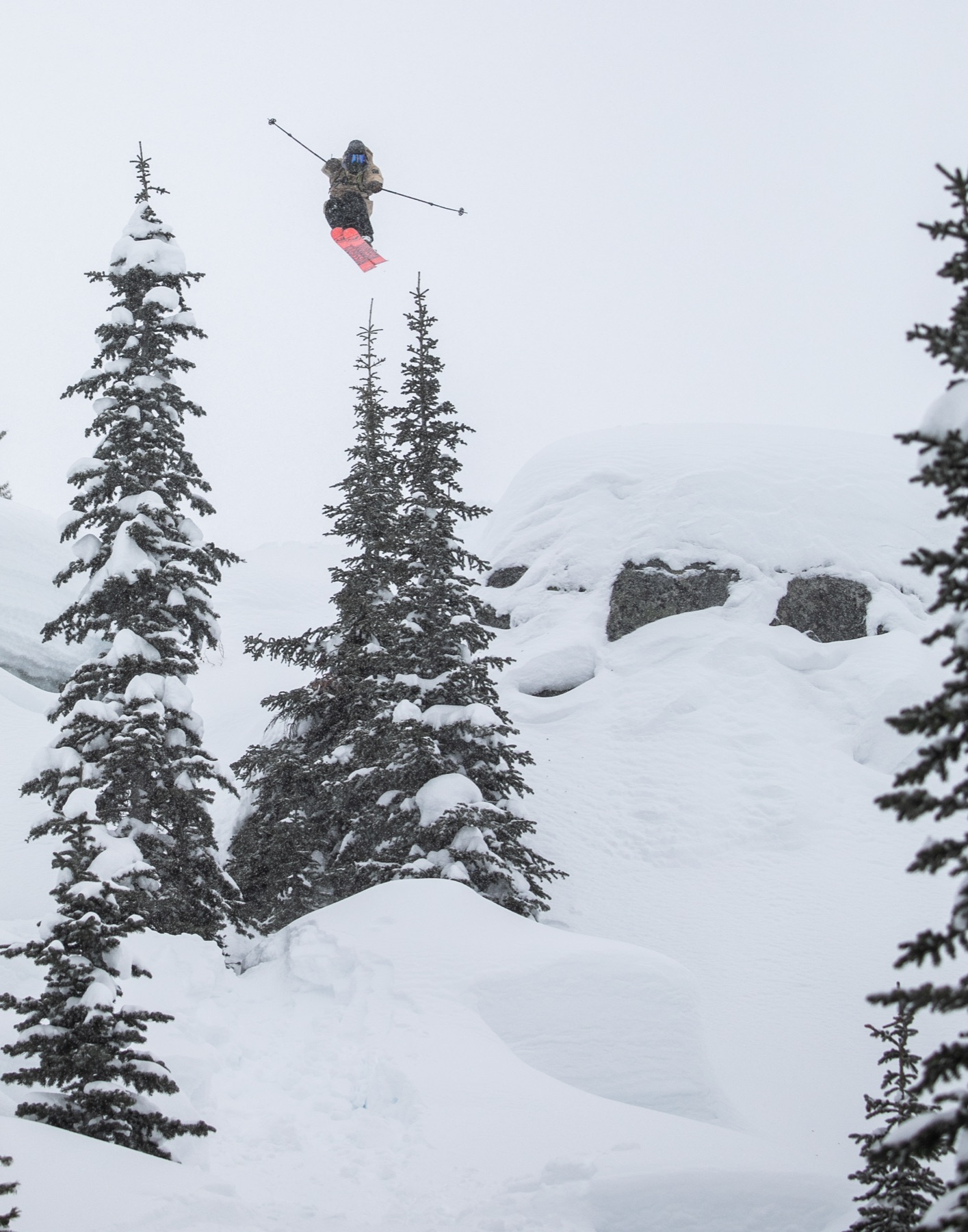 Skier in powder with red skis above snow-covered trees
