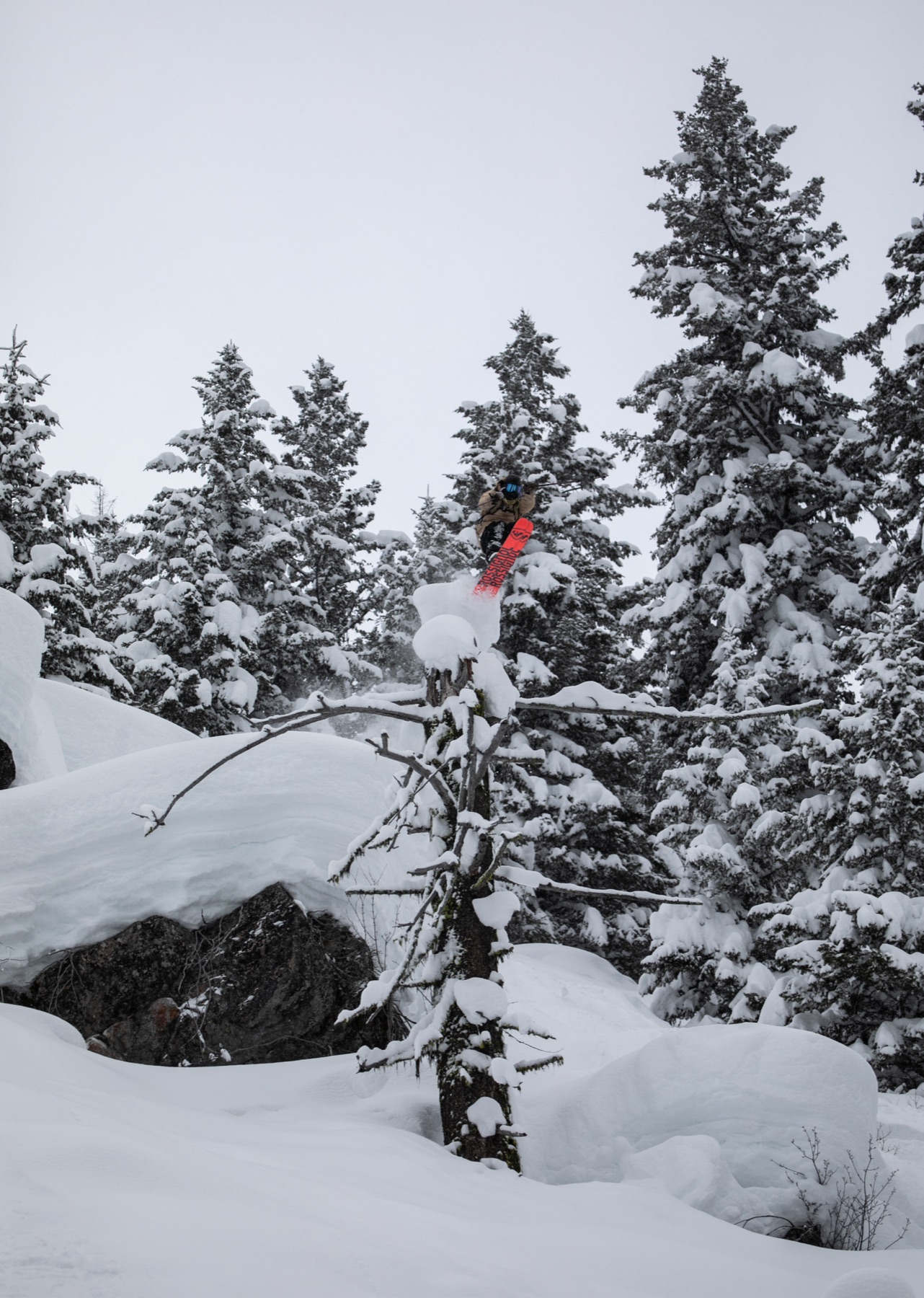 Skier moving through backcountry trees after a drop